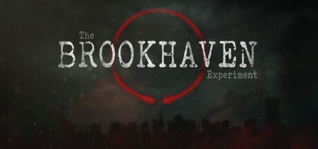 the brookhaven experiment
