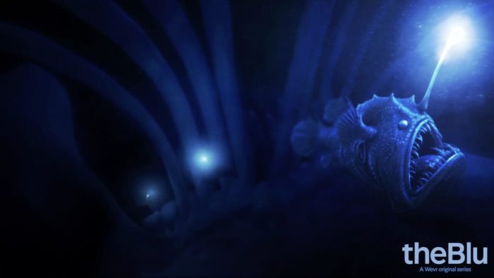 THE BLU